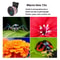 Professional HD 2in1 Wide Angle And Macro Smartphone Lens Kit 4