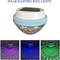 Floating Solar Pool Light And RGB Underwater Pond Decoration 0