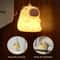 Capybara Cute Night Light And Squishy Silicone Lamp 6