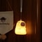 Capybara Cute Night Light And Squishy Silicone Lamp 7