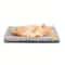 Winter Warming Pet Mattress Super Warm Washable Cushion For Cats Dogs 2