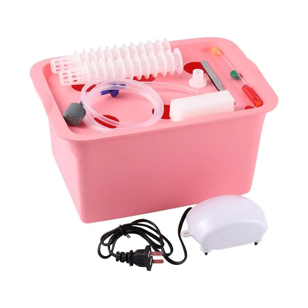 6Hole Indoor Hydroponic Growth Kit Smart Deep Water Culture Garden Box 2