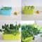 6Hole Indoor Hydroponic Growth Kit Smart Deep Water Culture Garden Box 5