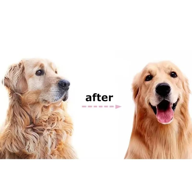 Professional Pet Deshedding And Knot Removal Brush 1