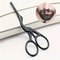 Round Head Stainless Steel Grooming Scissors 1
