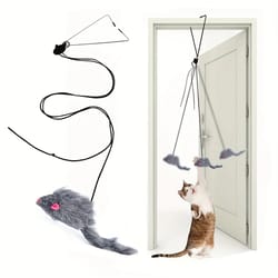interactive door hanging cat toy