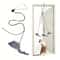 Interactive Door Hanging Cat Toy 0