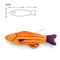 3D Simulation Catnip Interactive Plush Fish Toy 9