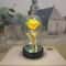 Eternal LED Enchanted Rose Flower 13