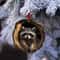 Professional 2D Acrylic Animal Christmas Ornaments 2