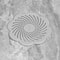 Professional FlowerShape Silicone Drain Cover Hair Catcher 4