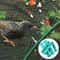 Professional Garden BirdProof Nylon Protection Net 6