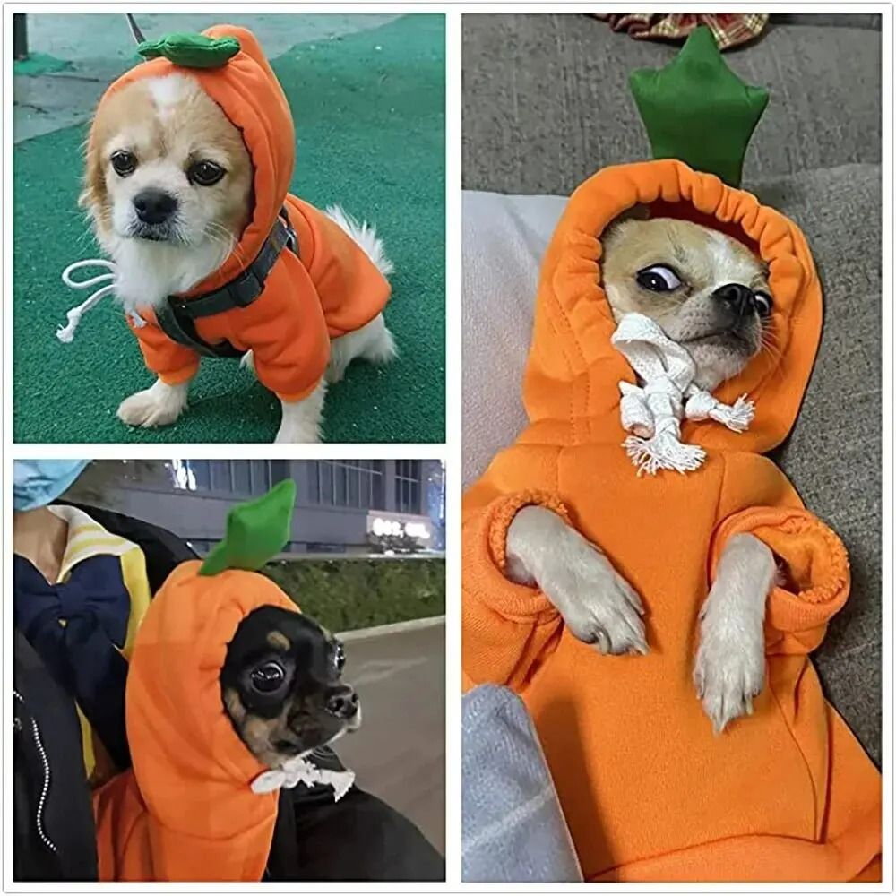 Cute Carrot Dog Hoodie Warm Fleece Puppy Sweater Coat 3