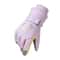 Thermal Performance Waterproof Ski Snowboard Gloves 3