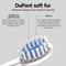 Rechargeable Colorful Cartoon Sonic Electric Toothbrush For Kids With Replacement Heads 5