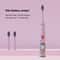 Rechargeable Colorful Cartoon Sonic Electric Toothbrush For Kids With Replacement Heads 8