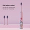 Rechargeable Colorful Cartoon Sonic Electric Toothbrush For Kids With Replacement Heads 8