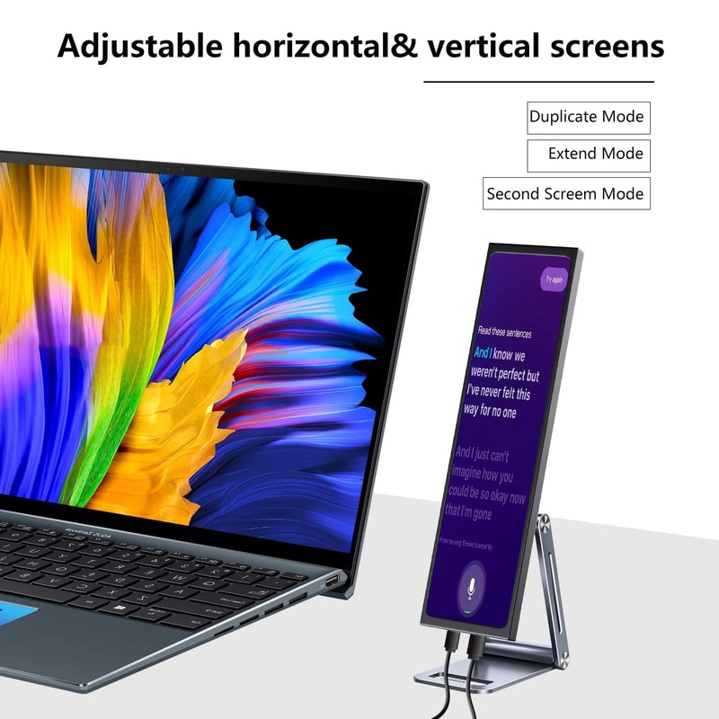 113 Inch UltraPortable IPS Monitor VESA Compatible Dual HDMI USBC Display 2
