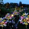 Solar LED Butterfly Garden Lights Waterproof Multicolor Landscape Lamp 1