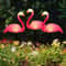 Solar Flamingo Stake Light Waterproof LED Outdoor Garden Pathway Decor 2