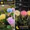 Solar Hydrangea Garden Light Waterproof LED Floral Stake Lamp 4