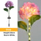 Solar Hydrangea Garden Light Waterproof LED Floral Stake Lamp 8