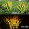 Vibrant Autumn Wheat Solar Pathway Lights DusktoDawn LED Courtyard Decor 2
