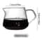 Borosilicate Glass PourOver Coffee Maker Set 6