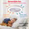 Integrated Modern Ceiling Fan LED Light System 2