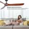 IndustrialRetro Variable Frequency Ceiling Fan 2