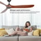 IndustrialRetro Variable Frequency Ceiling Fan 2