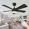 Modern Black Ceiling Fan Chandelier 0