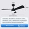 Modern Black Ceiling Fan Chandelier 12