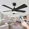 Modern Black Ceiling Fan Chandelier 1