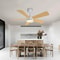 Modern Black Ceiling Fan Chandelier 3