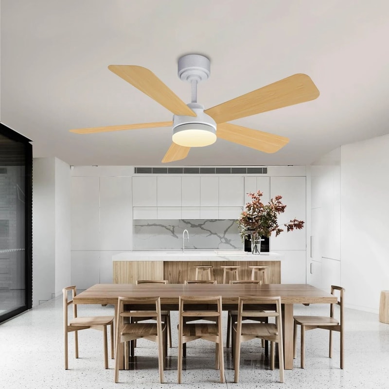 Modern Black Ceiling Fan Chandelier 3