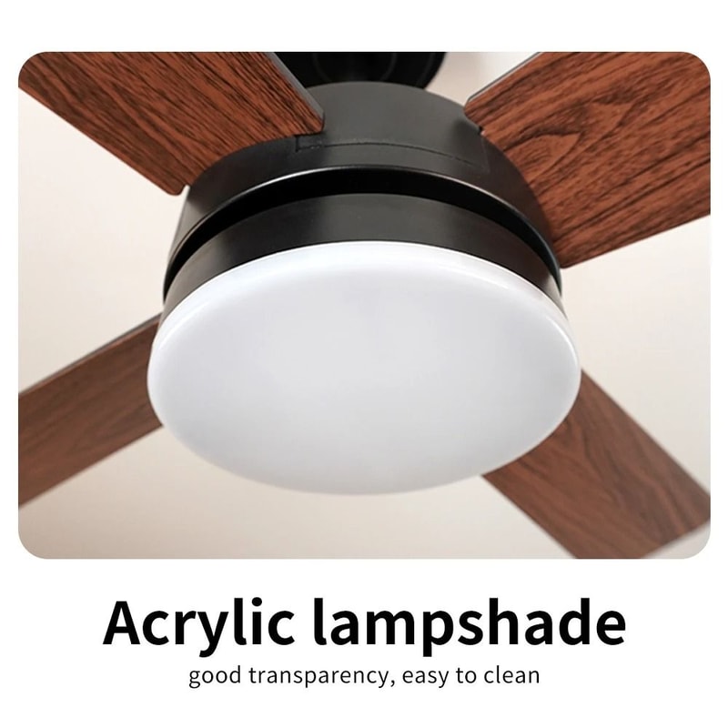 Modern Black Ceiling Fan Chandelier 4