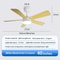 Modern Black Ceiling Fan Chandelier 16