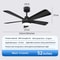 Modern Black Ceiling Fan Chandelier 17