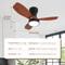 Modern Black Ceiling Fan Chandelier 20