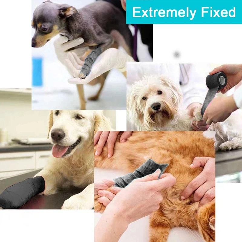 MultiPurpose SelfAdhesive Athletic Wrap 10Roll Set 4