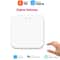 Tuya Smart Temperature Humidity Sensor 9