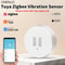 Smart Vibration Motion Sensor 0