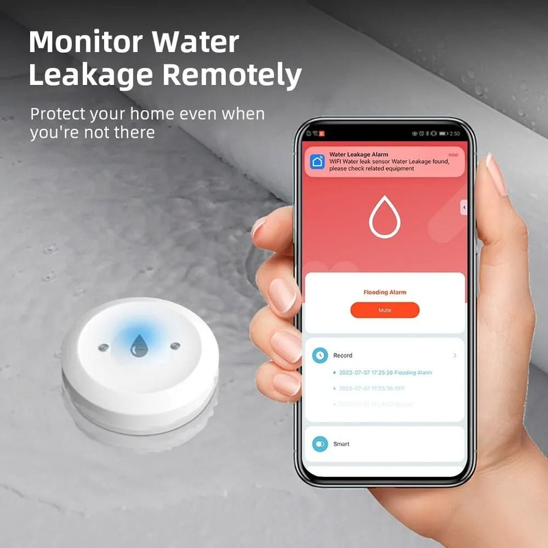 Smart ZigBee Water Leak Detector 2