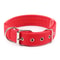 Solid Nylon Dog Collar 9