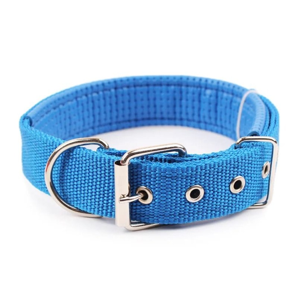 Solid Nylon Dog Collar 10