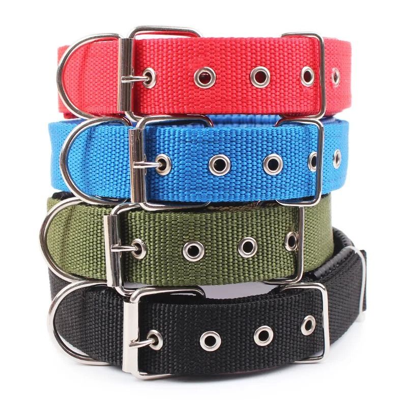 Solid Nylon Dog Collar 1
