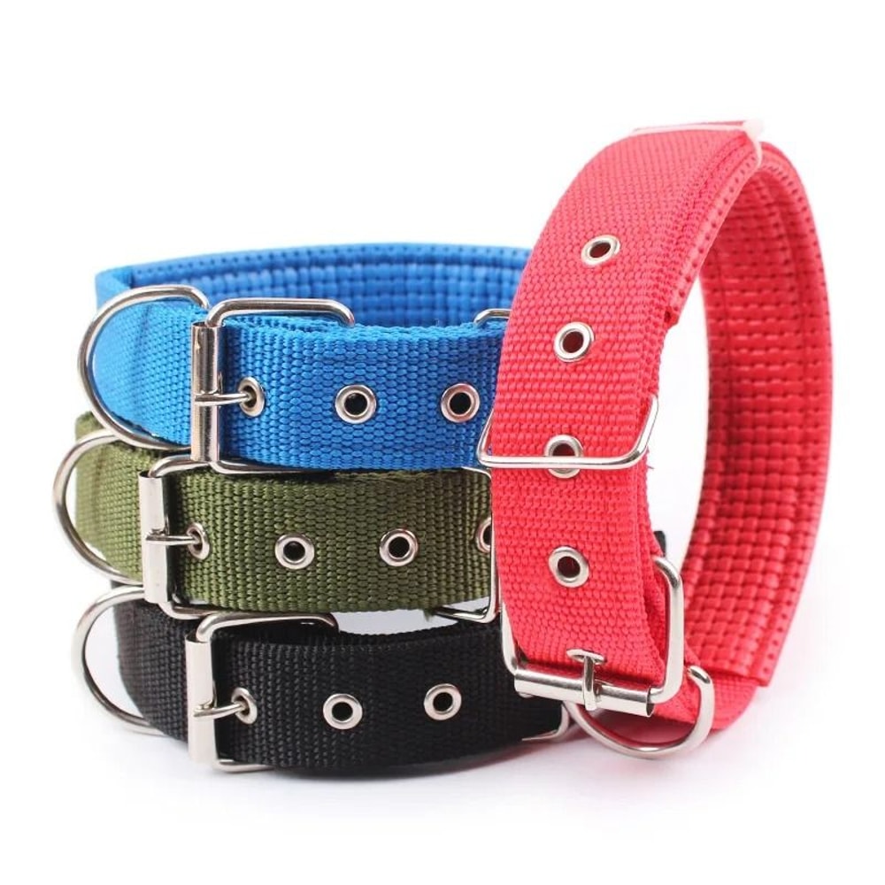 Solid Nylon Dog Collar 3