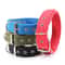 Solid Nylon Dog Collar 3