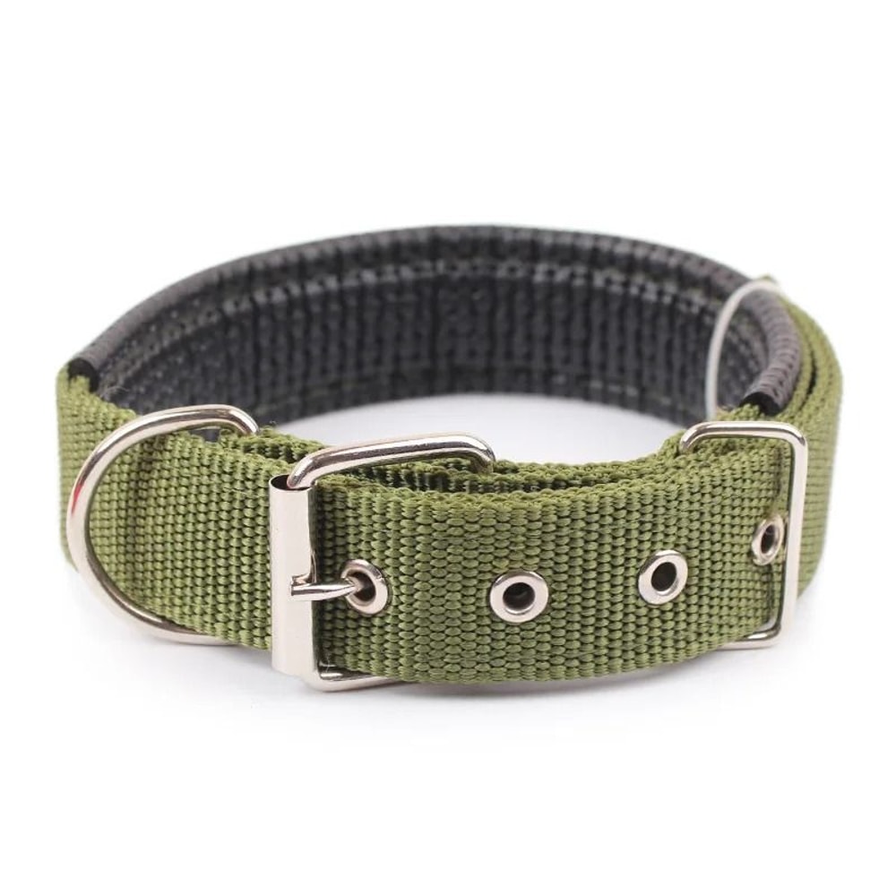 Solid Nylon Dog Collar 7
